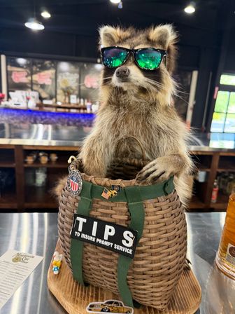 Cool raccoon wearing green mirrored sunglasses perched in a woven “TIPS” basket on a bar counter inside a casual eatery.