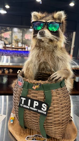 Cool raccoon wearing green mirrored sunglasses perched in a woven “TIPS” basket on a bar counter inside a casual eatery.