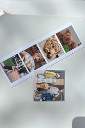Overhead shot of a white home printer with freshly printed photos — a vertical photo strip of a curly-haired golden doodle and a small family portrait on the lid, sunlit.