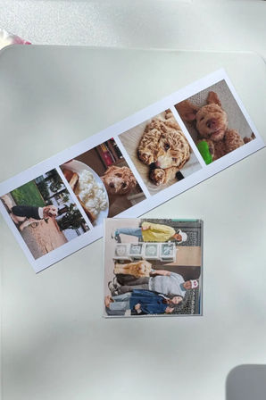 Overhead shot of a white home printer with freshly printed photos — a vertical photo strip of a curly-haired golden doodle and a small family portrait on the lid, sunlit.