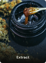 Close-up of amber cannabis extract being scooped from a black jar with dried cannabis buds blurred in the background, labeled “Extract”.