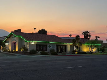 Sunset view of a single-story stucco commercial building with a red tile roof outlined in glowing green LED trim, palm trees and desert landscaping along a quiet street with mountains silhouetted in the background.
