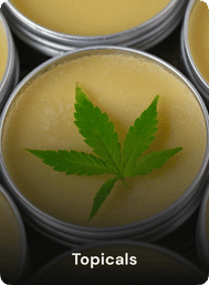 Close-up of a metal tin of topical balm topped with a vibrant green cannabis leaf, natural hemp salve labeled “Topicals”.