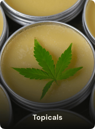 Close-up of a metal tin of topical balm topped with a vibrant green cannabis leaf, natural hemp salve labeled “Topicals”.
