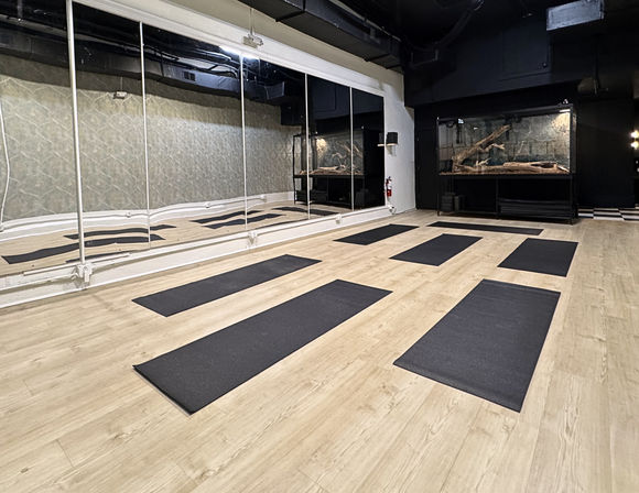 Minimal urban yoga studio interior with light wood flooring, mirrored wall and eight black yoga mats neatly spaced for class, dark back wall with a large terrarium display.