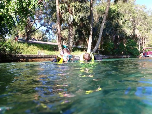 Private Boat Charter on Crystal River for Half or Full Day with Snorkeling, Manatees & Wildlife Water Tours image 9