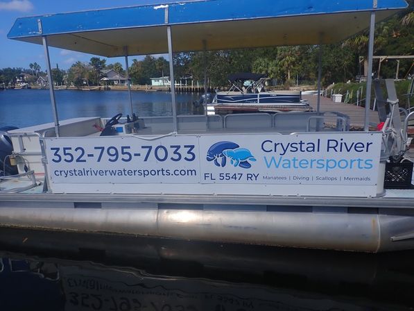 Private Boat Charter on Crystal River for Half or Full Day with Snorkeling, Manatees & Wildlife Water Tours image 5