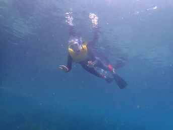 Snorkeler in a yellow life vest and blue snorkel mask drifting through clear blue water with fins visible