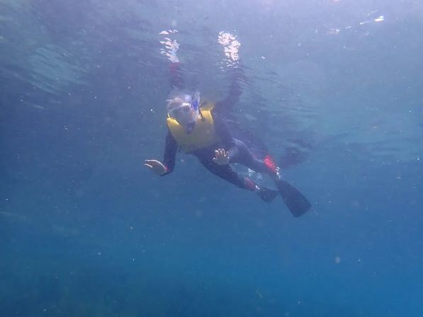Snorkeler in a yellow life vest and blue snorkel mask drifting through clear blue water with fins visible