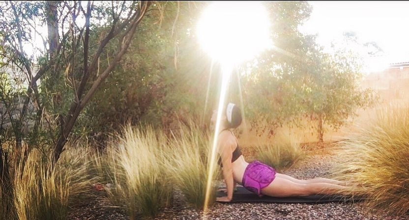 Person doing upward-facing dog on a yoga mat in a sunlit backyard garden, surrounded by tall ornamental grasses and a golden sun flare