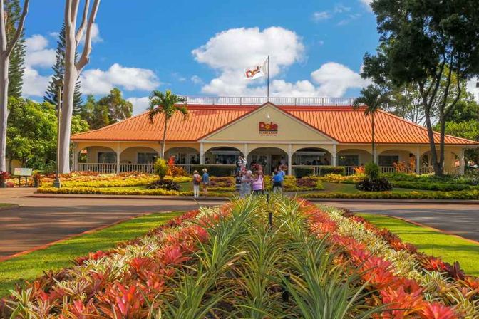 Sunny Hawaiian visitor center with orange roof and flag, framed by palm trees and colorful pineapple rows and bromeliads leading up to the entrance where small groups of visitors stroll.