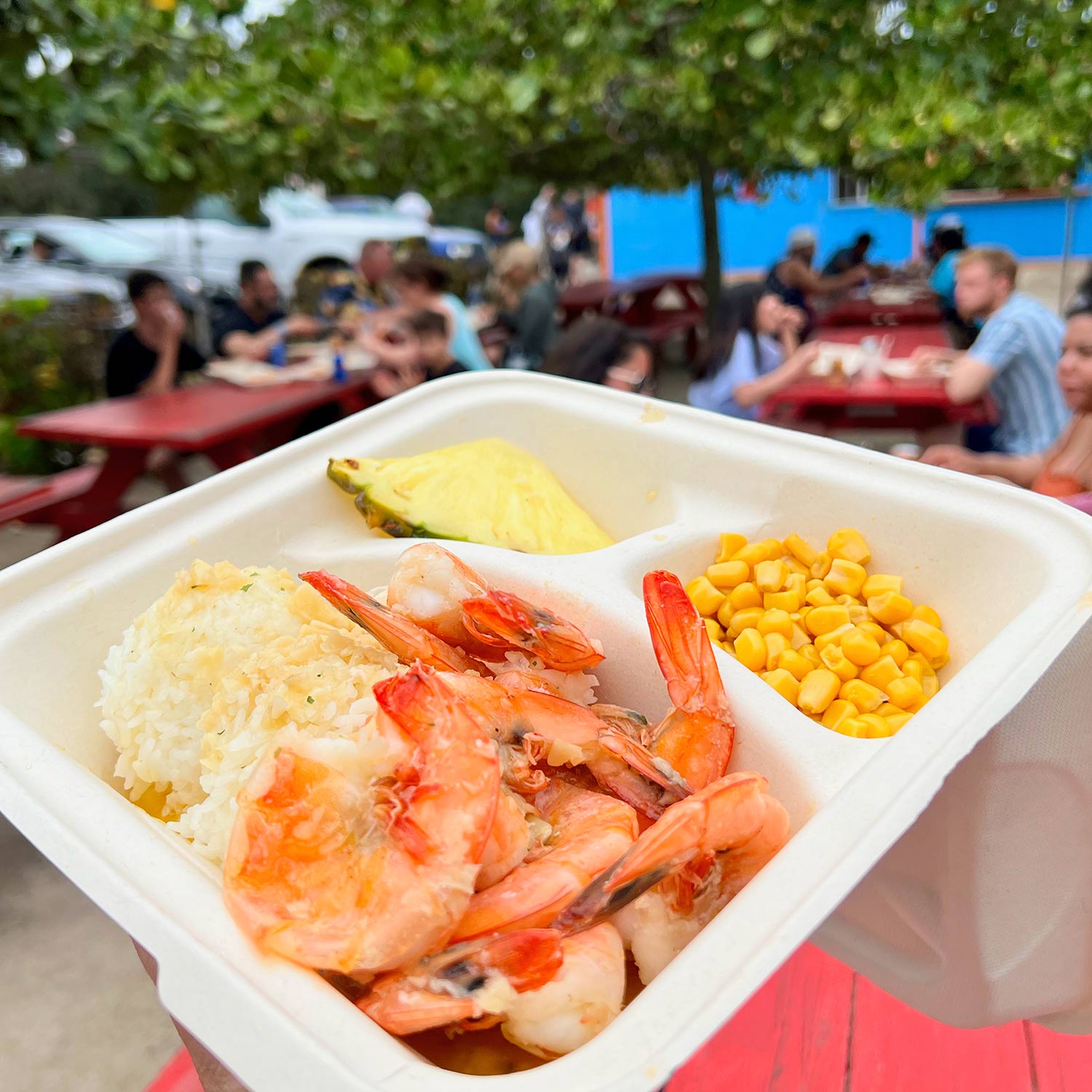 Takeout tray with plump cooked shrimp, white rice, sweet corn and a pineapple wedge held over red picnic tables at a casual outdoor dining area