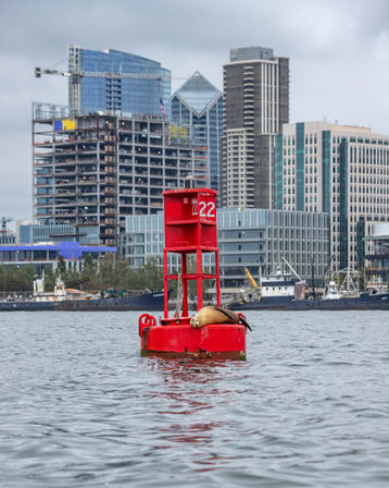 Dozing sea lion lounging on a bright red buoy numbered 22 in a city harbor, with construction cranes and high-rise buildings in the cloudy background