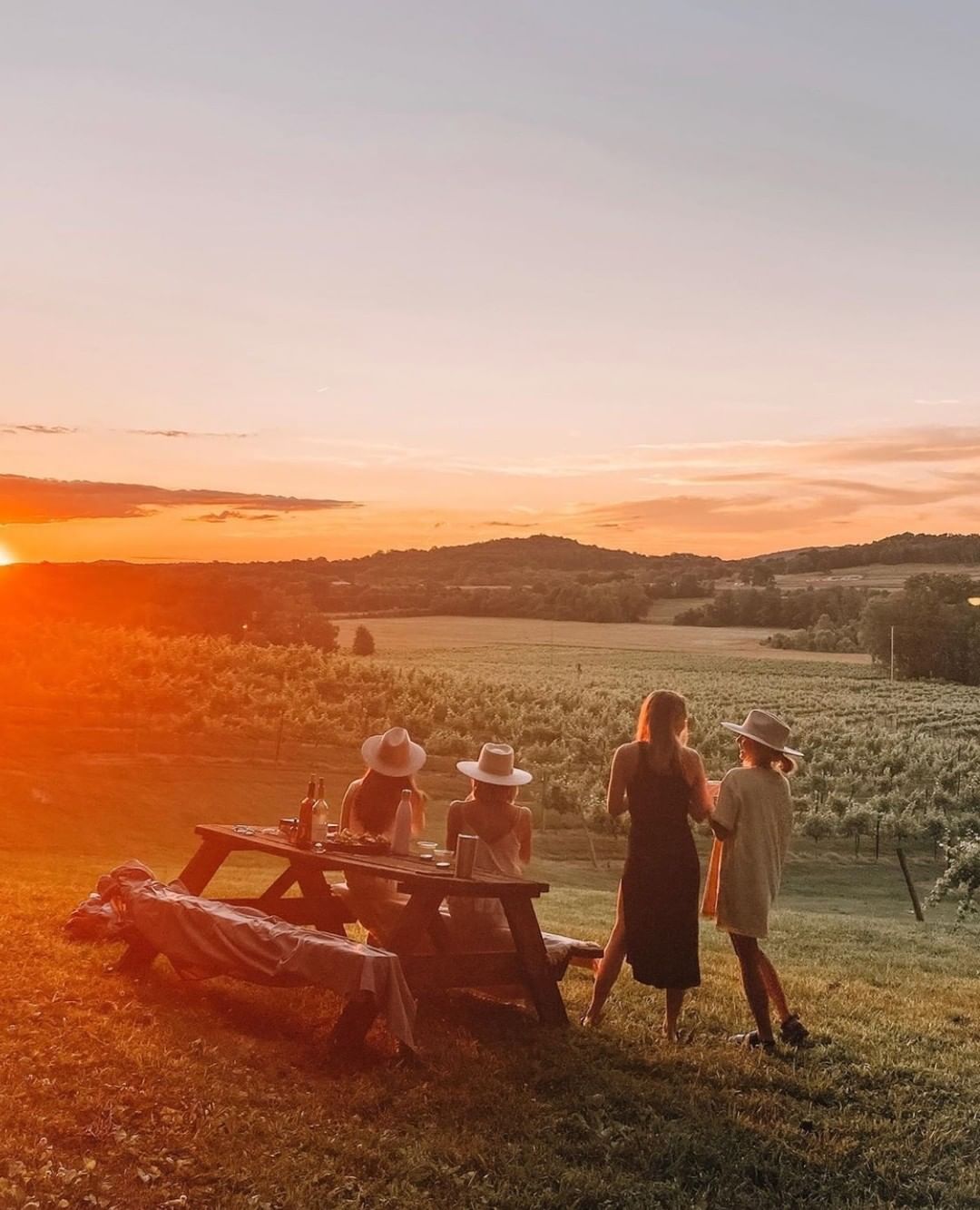 Golden-hour sunset over a countryside vineyard: four people at a picnic table on a grassy hill watching rows of vines and rolling hills under an orange sky.