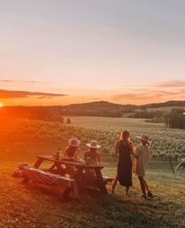 Golden-hour sunset over a countryside vineyard: four people at a picnic table on a grassy hill watching rows of vines and rolling hills under an orange sky.