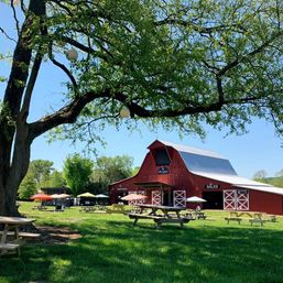 Sunny rural scene with a red barn labeled "Tastings" and "Sales", outdoor picnic tables and colorful umbrellas beneath a large shady tree.