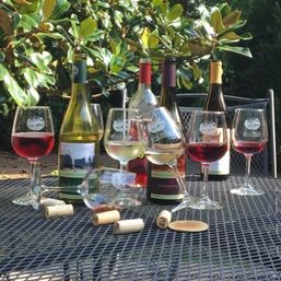 Cheerful backyard wine-tasting setup: bottles of red and white wine, assorted filled glasses and scattered corks on a black metal patio table under leafy branches.