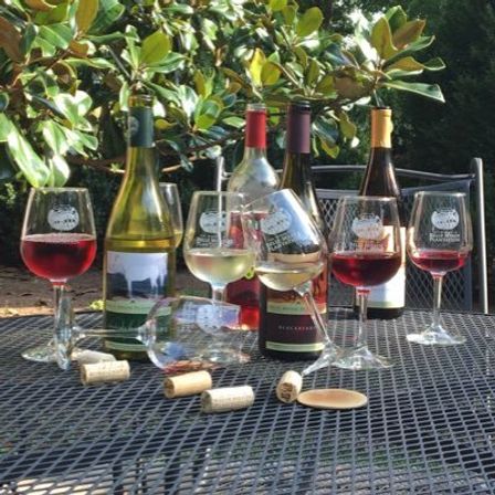 Cheerful backyard wine-tasting setup: bottles of red and white wine, assorted filled glasses and scattered corks on a black metal patio table under leafy branches.