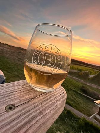 Stemless wine glass with etched logo and white wine perched on a weathered wooden railing, glowing amber in a coastal sunset over grassy dunes.