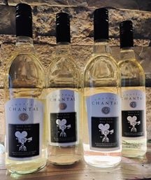 Close-up of four clear white-wine bottles with black screw caps and movie-camera labels lined up on a wooden shelf against a textured stone wall.