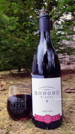 Pinot Noir bottle and stemless glass of red wine on grassy ground with evergreen trees behind on Old Mission Peninsula, Michigan — outdoor tasting vibe.