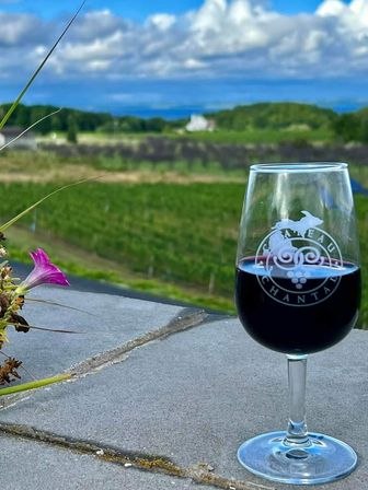 Glass of red wine on a stone ledge beside a pink flower, overlooking sunlit vineyard rows, rolling green hills and a bright blue sky with fluffy clouds.