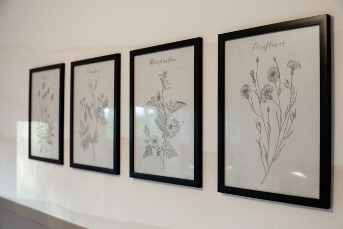 Chic minimalist display of four black-framed botanical line drawings hung in a row on a light interior wall, gallery-style wall art for a modern home or office hallway.