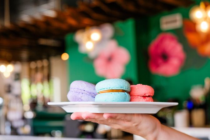 Hand holding a white plate with three colorful macarons — lavender, turquoise and coral — in a bright cafe with a green floral mural and warm bokeh lights.