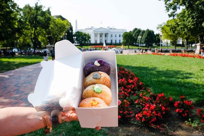 Vibrant filled mini donuts in a white takeout box held up in front of the White House in Washington, D.C., with green lawn, red flower beds and a sunny sky.