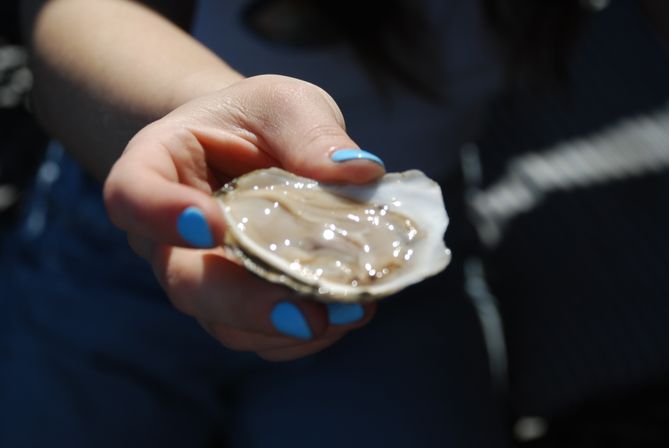Hand with bright blue nail polish holding a fresh oyster on the half shell, glistening with briny liquid in a coastal seafood close-up.