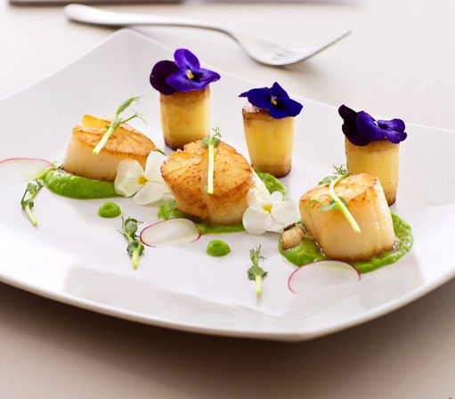 Seared scallops on vibrant pea purée with radish slices, microgreens and purple edible flowers — gourmet plated seafood appetizer on a white dish
