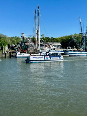 Tour boat cruising past docked shrimping trawlers in a sunny coastal harbor marina with calm water, clear blue sky, and tree-lined shoreline.
