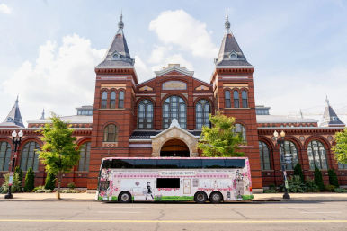 Tea Around Town DC: Sip, Savor & Sightsee with Afternoon Tea on a Double-Decker Bus image 7