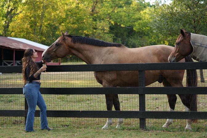 Woman offering a treat to a bay horse over a black wooden fence in a tree-lined rural pasture, second horse in a turnout blanket nearby and a red barn in the background.