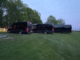 Appalachian Motorcoach Wedding, Bachelor & Bachelorette Transportation in Asheville & Greenville image 8