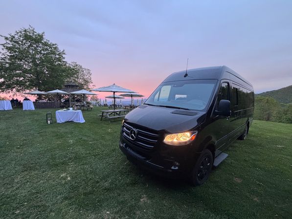 Appalachian Motorcoach Wedding, Bachelor & Bachelorette Transportation in Asheville & Greenville image 9