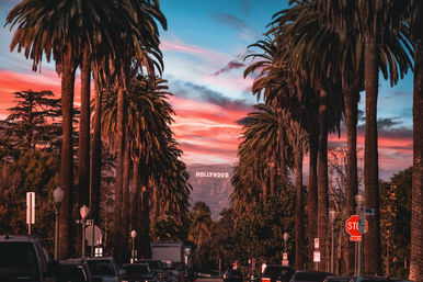 Palm-tree lined Los Angeles street at sunset with a pink-and-blue sky framing the Hollywood sign on the distant hills.