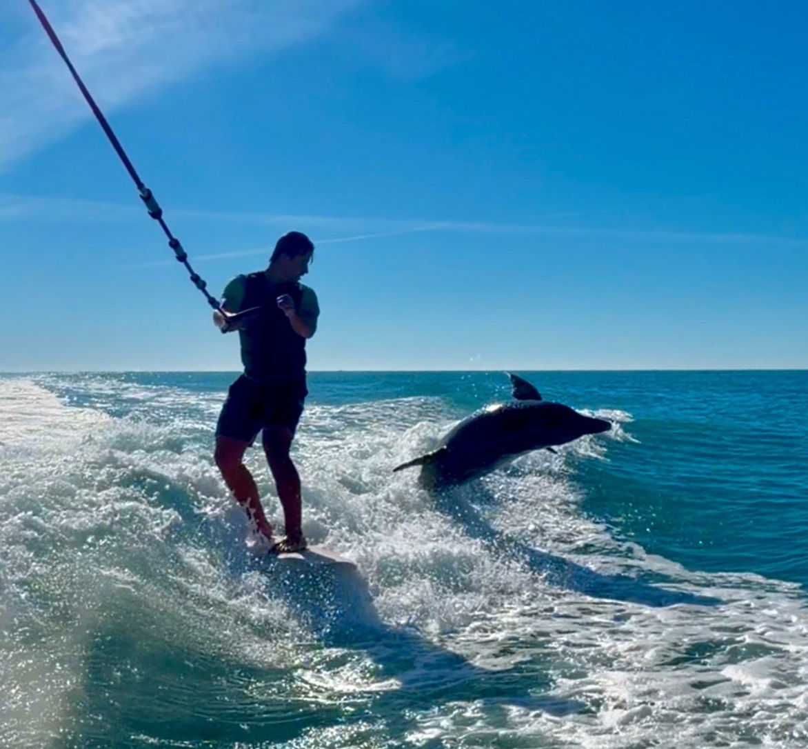 Person wakesurfing on a boat wake in clear blue ocean as a dolphin leaps beside them under a sunny sky