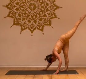 Mobile Yoga Party for LA Ladies! image 4