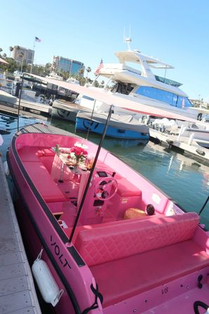 ICONIC Pink Boat for up to 10 Passengers image 5