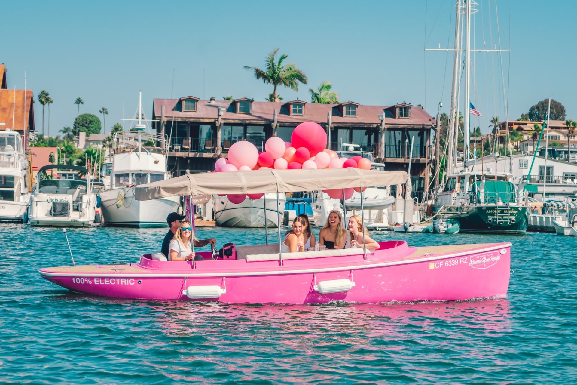 ICONIC Pink Boat for up to 10 Passengers image 1