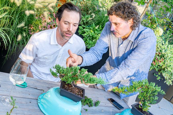 Two men on an outdoor patio styling a miniature evergreen bonsai, one pointing while the other adjusts branches with pruning tools and a wine glass nearby.