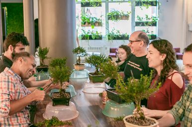 Adults in a bright indoor bonsai workshop trimming small potted trees at a long table, laughing and chatting amid hanging greenery.