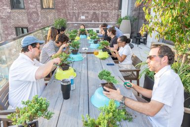 Sunlit urban rooftop bonsai workshop with people seated around a long wooden table trimming small potted trees, colorful bowls and tools, drinks on the table and a brick building backdrop.