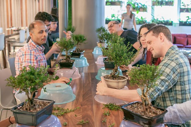 Adults in a hands-on indoor bonsai workshop trimming and shaping small potted trees around a long wooden table in a bright, plant-filled studio.