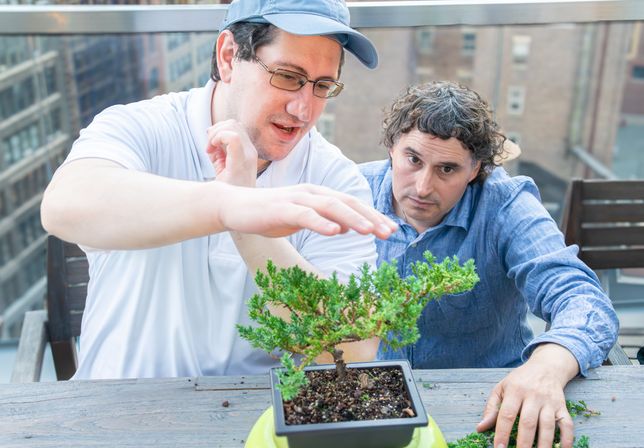 Two men styling a bonsai tree on an urban rooftop patio, one demonstrating pruning technique while the other watches attentively.