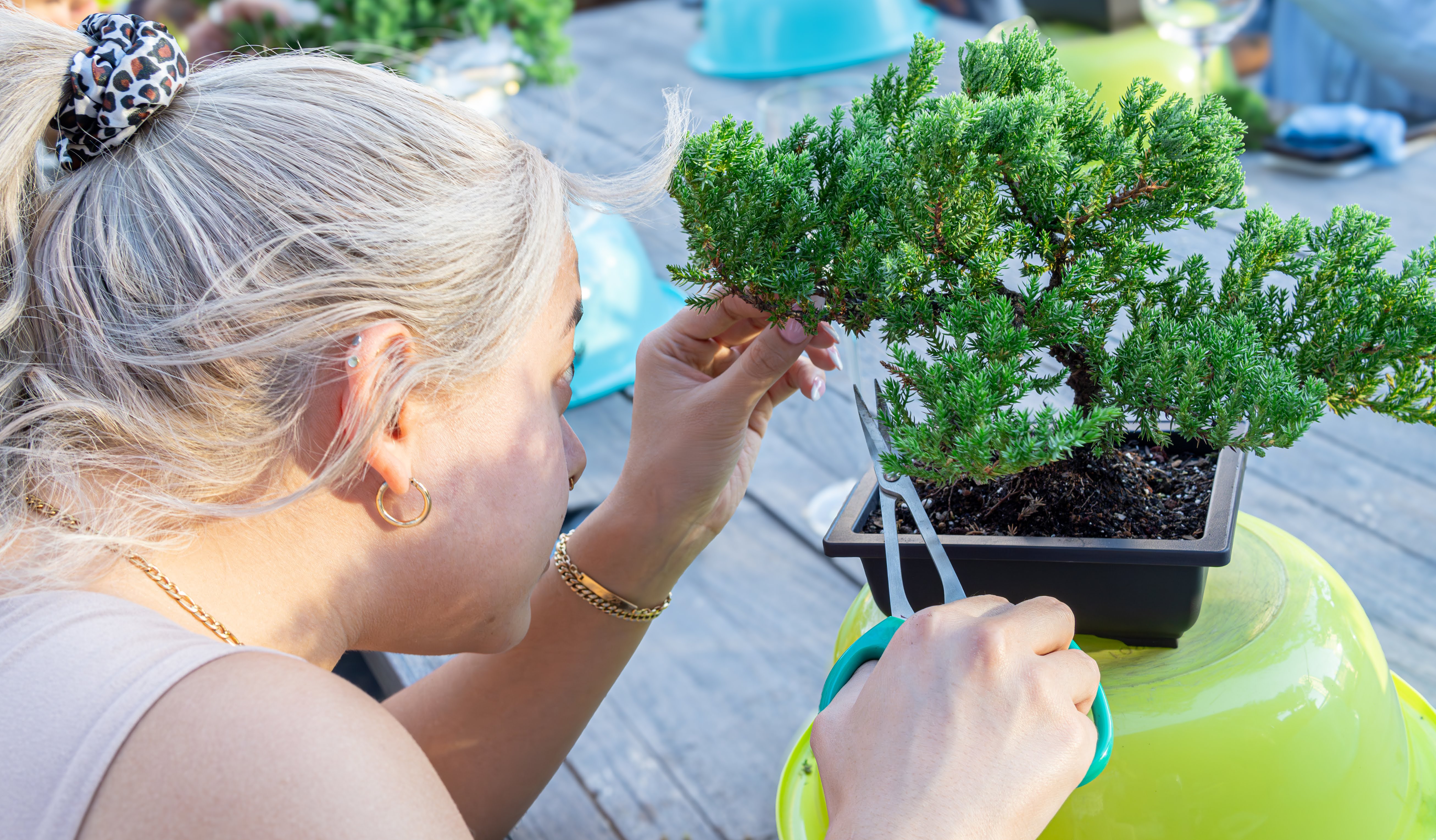 Close-up of a person carefully trimming a miniature bonsai tree in a rectangular pot on a wooden outdoor table, using precision scissors with a bright green bowl as a stand.