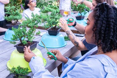 Participants trimming miniature bonsai trees with scissors at an outdoor community bonsai workshop on a wooden table, hands-on pruning and small potted evergreens.