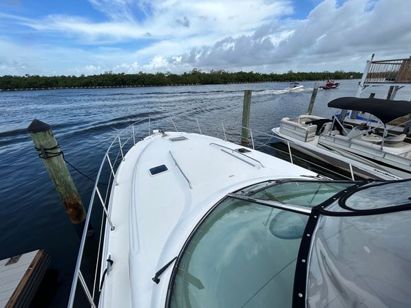 45' SeaRay Dream Yacht Charter Experience image 5