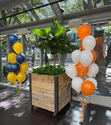 Bright blue-and-yellow and orange-and-white balloon clusters flanking a large wooden planter with a fiddle-leaf fig in a glass-enclosed urban patio with sunlight and street trees visible outside